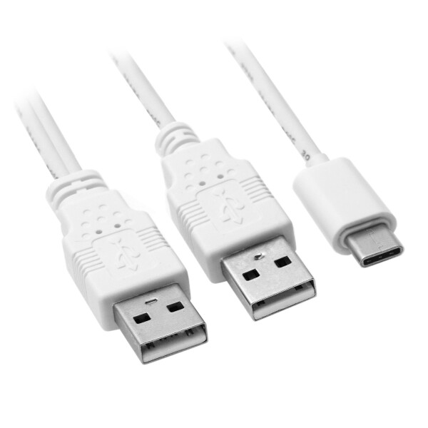 CY USB 3.1タイプC USB - Cデュアル電源 追加データへ 携帯電話＆ハードディスク60センチメートル 用 男性 Yケーブル